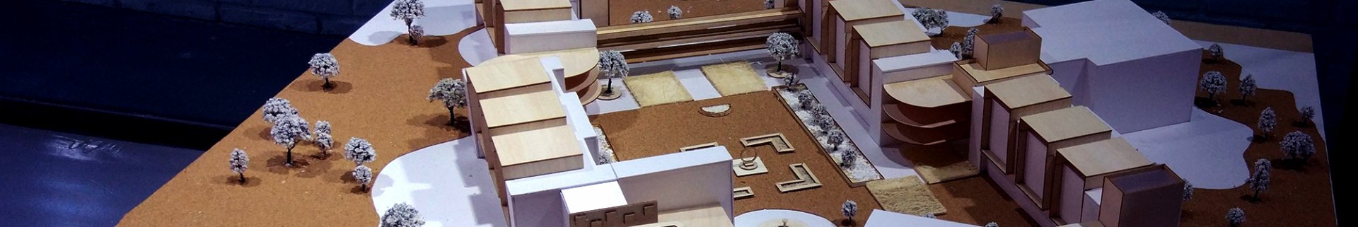 扎实推进学风建设