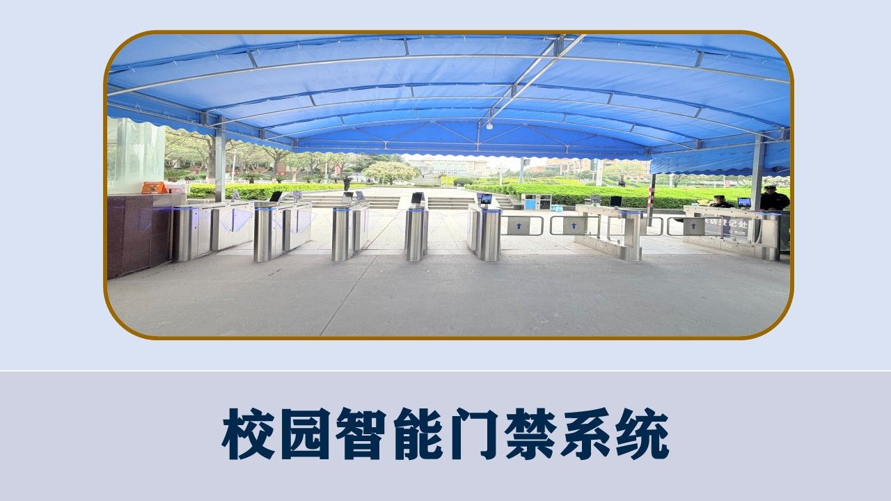 发展动态
