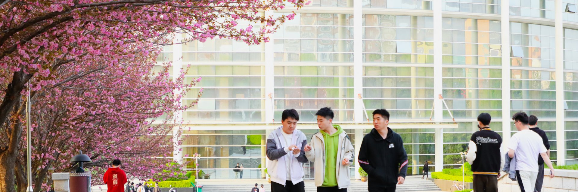 副校长张洛红主持会议